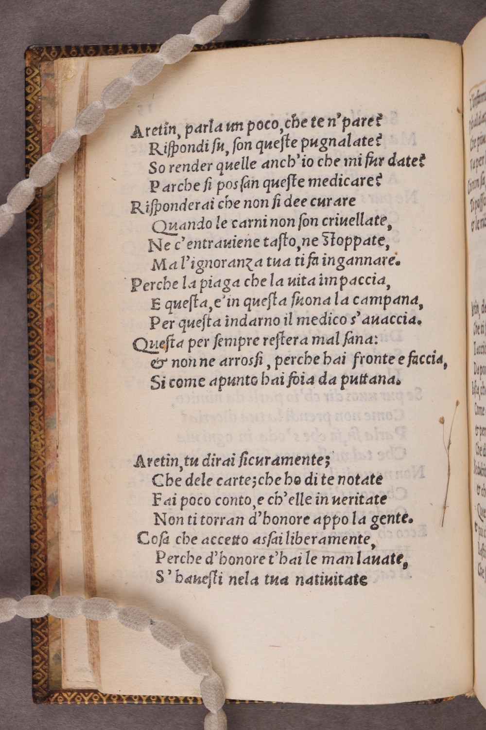 Folio 15 verso